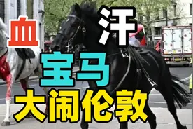 英国皇家骑兵队五匹军马失控冲上伦敦舰队街 几名行人受伤视频封面