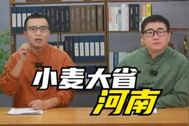 河南为何是全国第一小麦大省？4方面原因成就了河南的大省粮仓视频封面