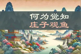庄子观鱼，知之濠上，唯觉而已视频封面