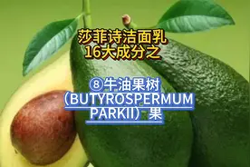 牛油果树为什么被很多人所推崇，在护肤品成分之扮演什么角色呢视频封面