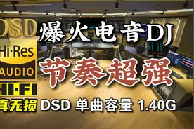 爆火电音DJ硬曲，节奏感超强！DSD完整版1.40G，百万调音师制作视频封面