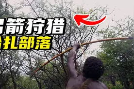 吃狒狒喝泥水，数千年弓箭狩猎为生，狂野原始神秘哈扎部落揭秘视频封面