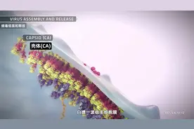吉利德公布药物临床结果，可能终结艾滋病视频封面
