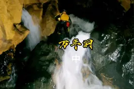 实在罕见，山洞里发现了大量的蝙蝠视频封面