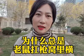 老鼠扛枪窝里横，这是为什么呢视频封面