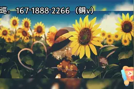 高价回收艾瑞卡，达伯舒，多吉美等闲置药品v：16718882266#菊花视频封面