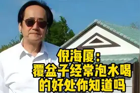 倪海厦：覆盆子经常泡水喝的好处你知道吗？视频封面