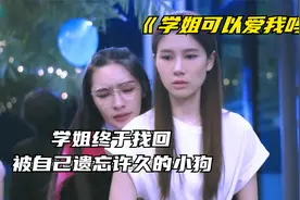 意外出车祸的姐学 遗忘了和小狗在一起的时光《学姐可以爱我吗》视频封面