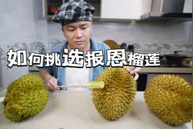 榴莲摊实战，手把手教大家如何挑选软糯香甜出肉率高的报恩榴莲视频封面