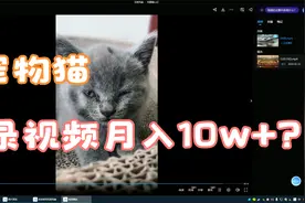 冷门的抖音细分赛道-宠物冷知识，，有人靠这个月入10w视频封面