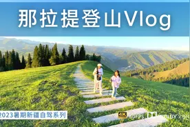 门票300元一人 自驾那拉提景区「下集」-河谷草原