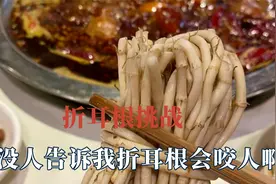 折耳根的受众群体到底是谁，有人极度热爱，就有人难以下咽视频封面