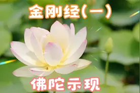 金刚经(一)，佛陀示现视频封面