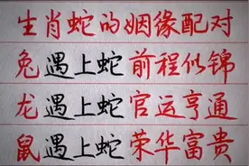 生肖蛇的姻缘配对（仅供娱乐）-副本(2)视频封面