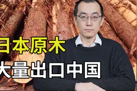 日本原木大量出口中国，占原木出口9成，日本不讲森林保护了吗？视频封面