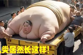 2次刷新吉尼斯世界纪录,巅峰体重达1270斤!14个史上最大的人视频封面