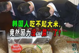 韩国人吃不起大米，竟然因为没“尿”了？国民陷入缺粮危机!视频封面