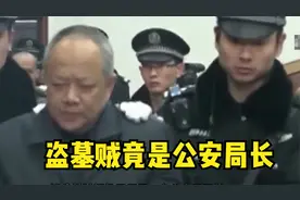 盗墓贼幕后大老板竟是公安局长，依靠身份盗挖古墓，获利上千万视频封面