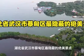 湖北省武汉市蔡甸区最隐蔽的绝美景点视频封面