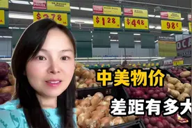 美国真的物价低福利高？来看看真实情况：跟国内比哪个生活更好？视频封面