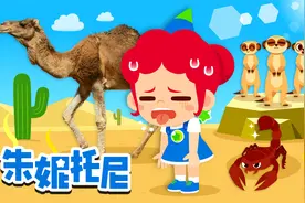 探索沙漠动物的生存之道！视频封面