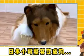 这难道是血脉觉醒？日本一男子将自己整容成狗！#奇闻异事 #整容视频封面