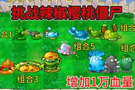 植物大战僵尸：杂交版挑战辣椒樱桃僵尸，哪个组合可以成功？视频封面