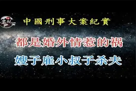 都是婚外情惹的祸，嫂子雇小叔子杀夫  法治故事-中国刑事大案纪视频封面
