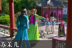 丫鬟怀孕当上主子，嚣张嘲讽福晋不会生，结果自己一辈子没法生育视频封面