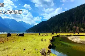 川西小众景点，甘孜九龙伍须海，雪山海子草甸森林，高原风光好美视频封面