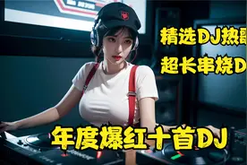 年度爆红十首DJ 超长串烧DJ 精选DJ热歌