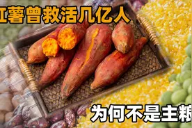 红薯为什么不能当主食？曾拯救中国饥荒，现在“地位”不如土豆？