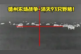 得克萨斯州的农场战争，总共消灭93只野猪视频封面