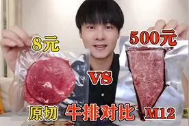 500元的m12牛排，对比8元一片的牛排，差别有多大？视频封面