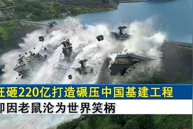 印度吊打中国基建成第一？砸220亿建世界第一大坝，因老鼠被打脸视频封面