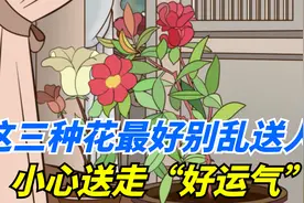 2024龙年到，这三种花最好别乱送人，小心送走“好运气”!视频封面