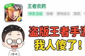 游戏真探：盗版王者手游？取名王者农药，进游戏后我懵了！视频封面