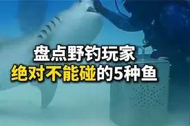 盘点野钓玩家绝对不能碰的5种鱼视频封面