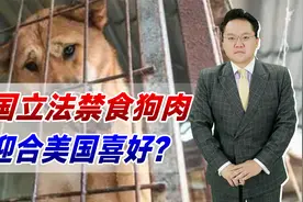 韩国立法禁食狗肉！为迎合美国喜好？可处3年以下有期徒刑或罚款视频封面