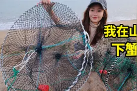 青岛海下蟹笼能抓到什么？真实的赶海收获，有鱼还有蟹！视频封面