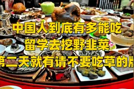 中国人到底有多能吃，留学去挖野韭菜，第二天就有请不要吃草的牌视频封面