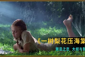大叔与萝莉的禁忌之恋《一枝梨花压海棠》视频封面