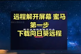向日葵远程下载教程视频封面