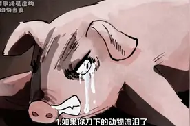 缅北的新娘1，你还敢去缅北旅游吗视频封面