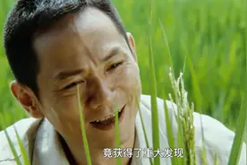 袁隆平意外发现天然杂交稻，却获得重大发现，培育出三系杂交稻视频封面