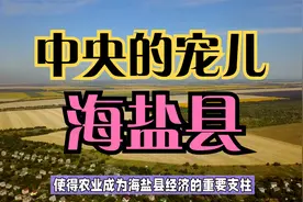 百强县之浙江海盐县——中央的宠儿视频封面