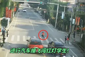 逆行的汽车撞到闯红灯的小学生，到底是谁的责任？视频封面