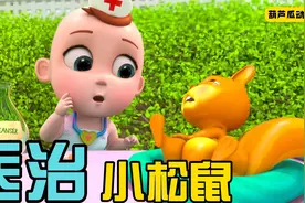 小松鼠从树上掉下来腿受伤了，看小医生怎么救助它视频封面