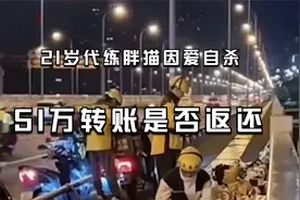 21岁代练胖猫因爱自杀，51万转账是否返还视频封面