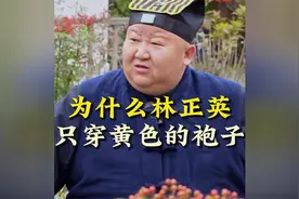 为什么林正英只穿黄色的袍子 #传统文化  #道教  #民间故事视频封面